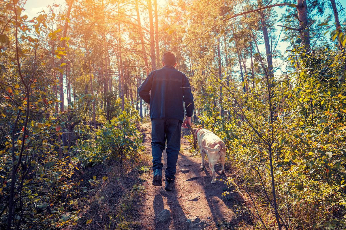 Navigating Life After Divorce